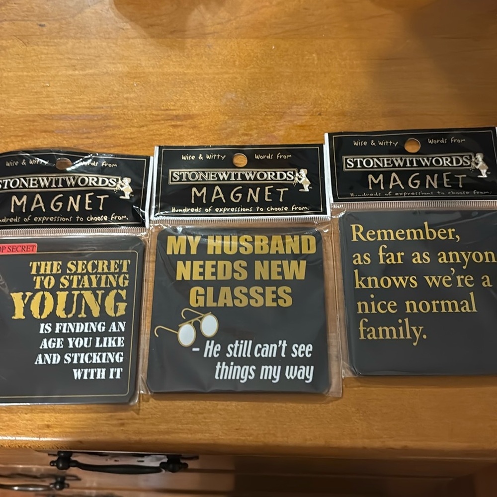Stonewitwords 3.25” x 3.25” wise & witty words 3 magnets